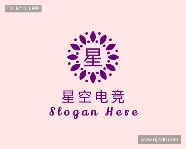 发现星空电竞官网